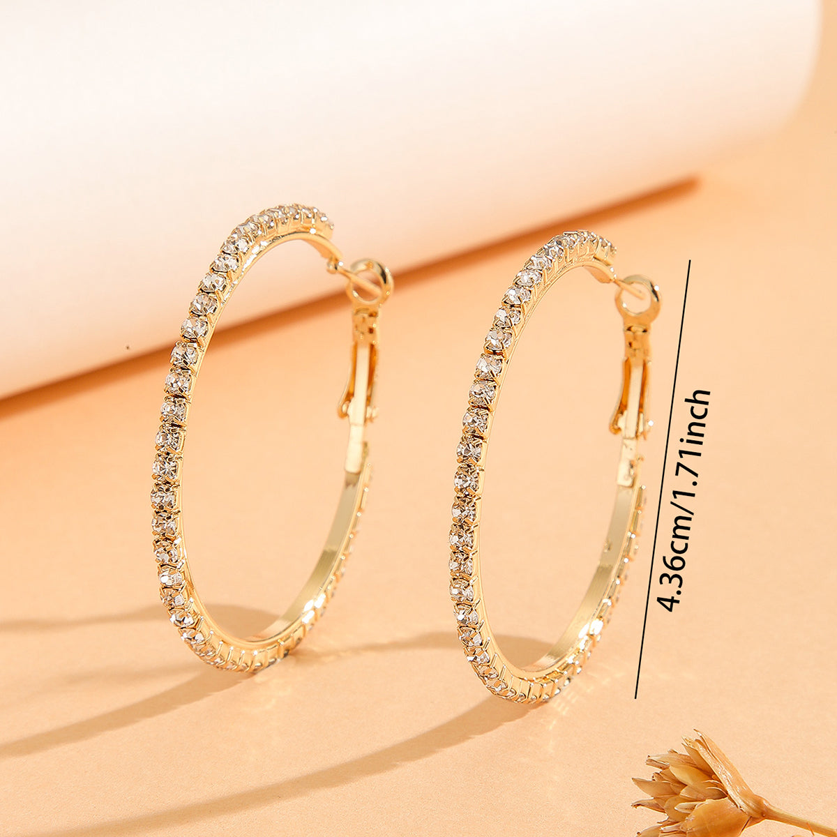 zircon inlaid large earrings